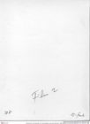 Historisches Foto (Rückseite) von Cracensigillatus acutirostris (Moericke, 1889) (NHMW-AFW-GEO-BACHMAYER-FOTO-1990-0041-0308)